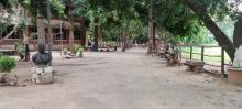 Campus Life img-2