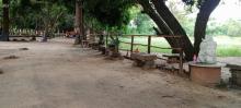 Campus Life img-5