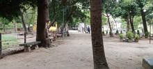 Campus Life img-10